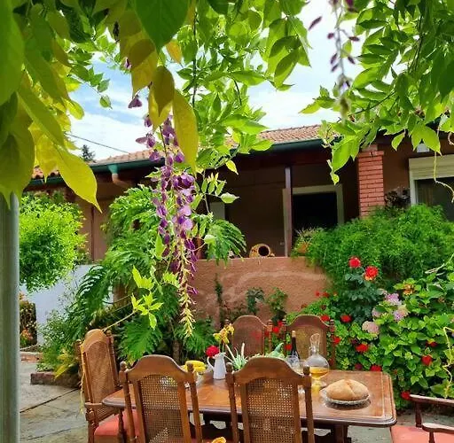 Night Flower Villa
